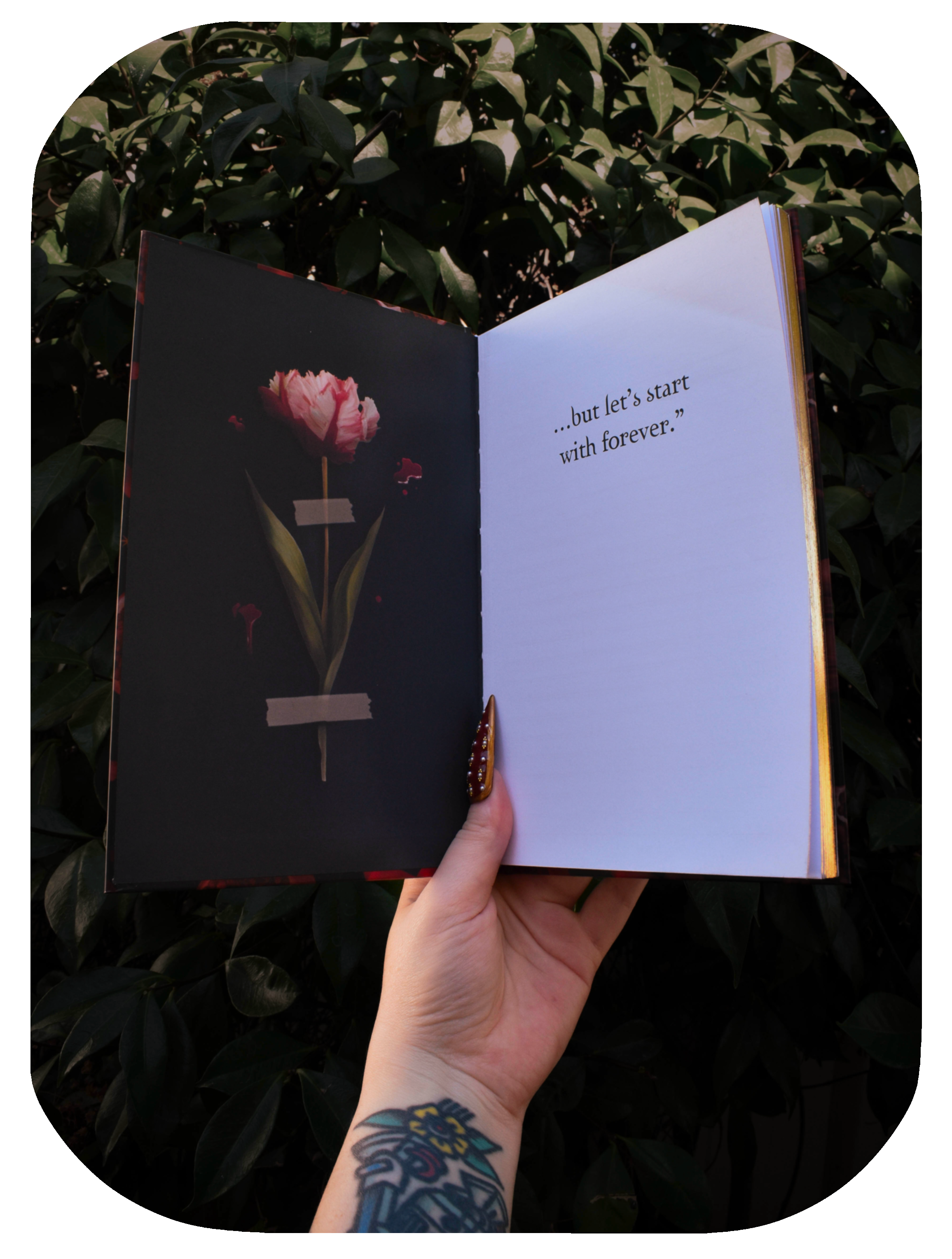 Edward's Journal